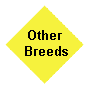 Other Breeds